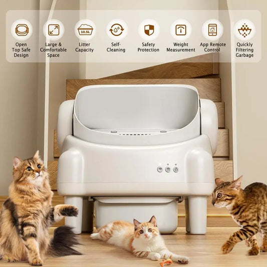 Premium Edition | TAYACICY Smart Self-Cleaning Litter Box for Multiple Cats | 10.5L Bin, Open-Top Design, Dual Safety Sensors, Cat Litterbox (Only Supports 2.4G WiFi),back to school