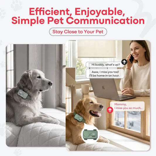PetPhone for Dogs & Cats – 2-Way PetChat, AI-Powered Pet Sound Analysis & Activity Insights, GPS Tracker with Geofencing Alerts, Play Music, 37g Smart Pet Tracking Device, Gift for Pet Lovers