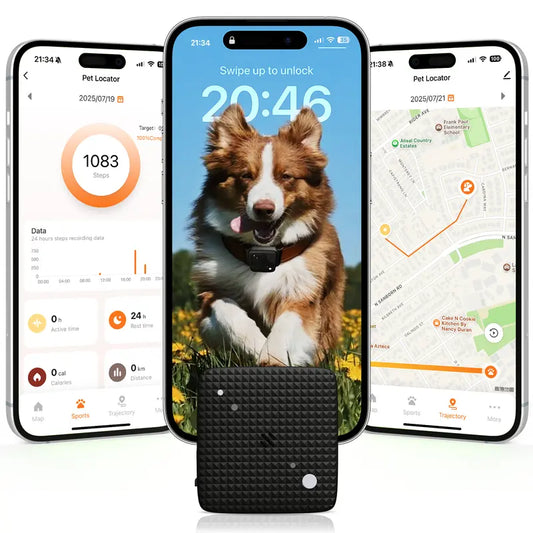 LaView TR7 GPS Tracker for Pets, Real-Time Tracking with Virtual Fence Alerts, Long-Lasting Battery, Easy Collar Mount