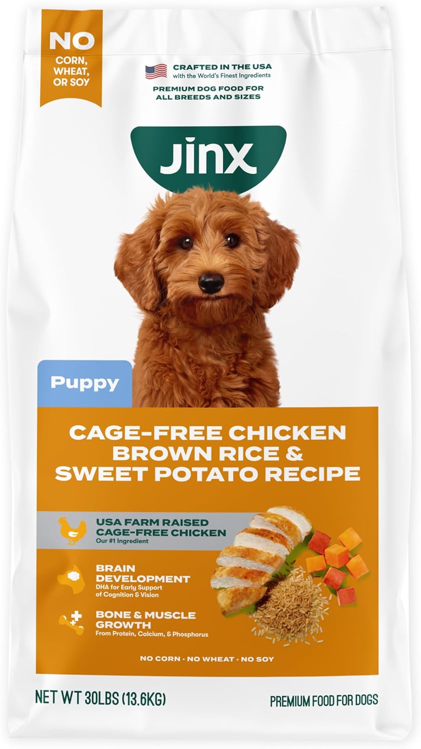Jinx Premium Dry Dog Food, for All Lifestages - Real Beef, Brown Rice & Sweet Potato Kibble with Superfoods for Immune Support & Probiotics for Digestive Support - No Fillers - 4lb (Pack of 2)