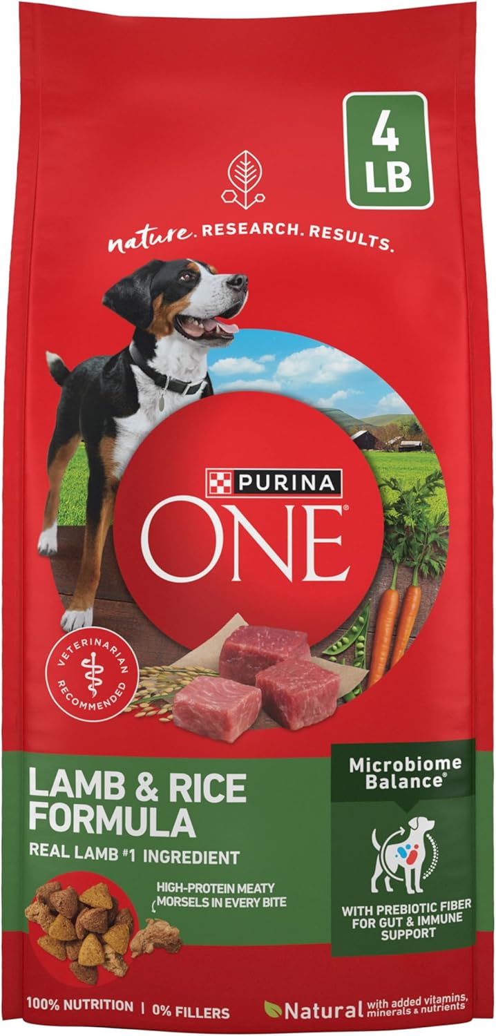 Purina ONE Lamb and Rice Formula Dry Dog Food for Digestive Support
