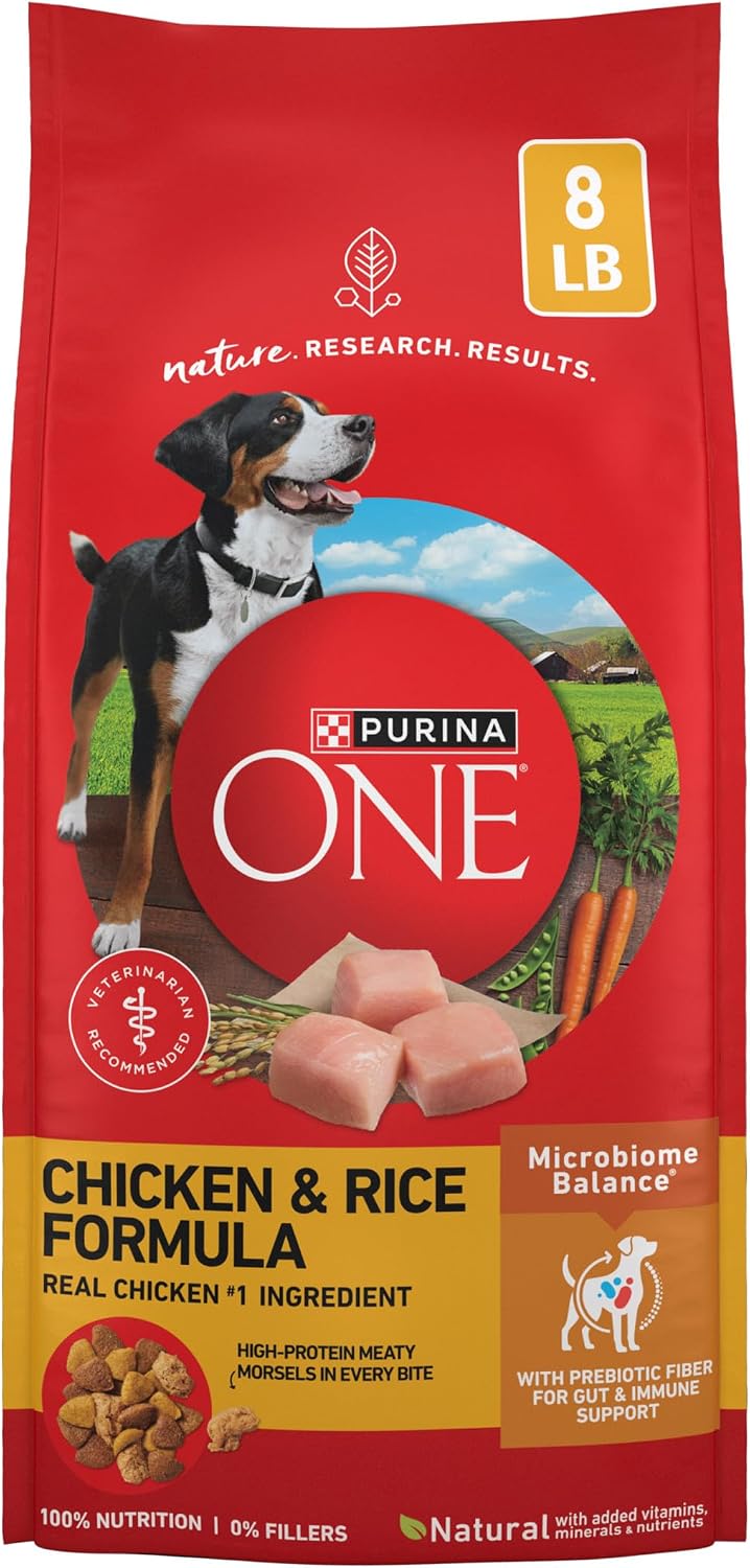 Purina ONE Lamb and Rice Formula Dry Dog Food for Digestive Support