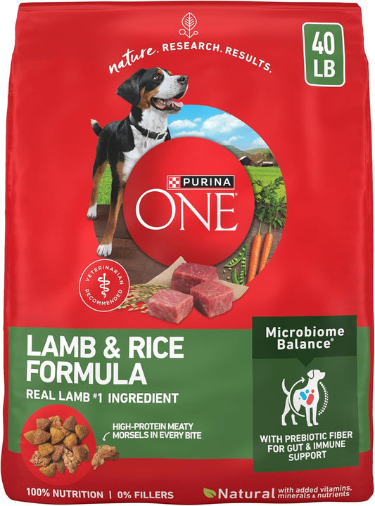 Purina ONE Lamb and Rice Formula Dry Dog Food for Digestive Support