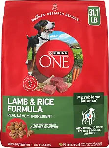 Purina ONE Lamb and Rice Formula Dry Dog Food for Digestive Support